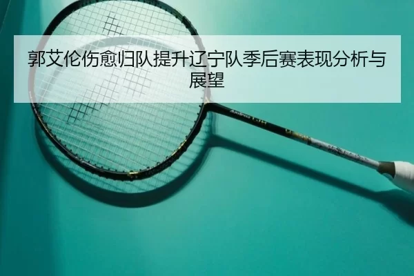 郭艾伦伤愈归队提升辽宁队季后赛表现分析与展望