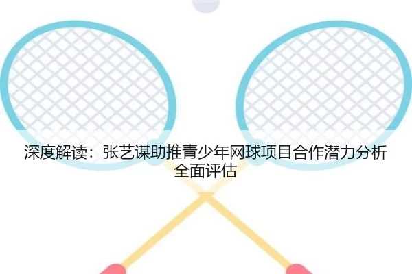 深度解读：张艺谋助推青少年网球项目合作潜力分析全面评估