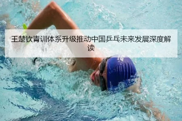 王楚钦青训体系升级推动中国乒乓未来发展深度解读